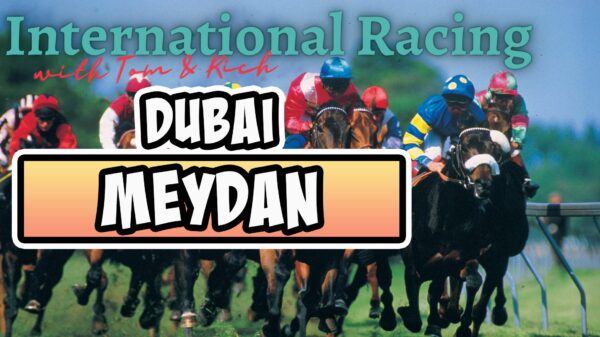 Dubai - Meydan Horse Racing Picks