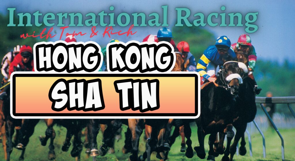 Hong Kong - Sha Tin Horse Racing Picks