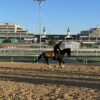 Crown Pride works out at Churchill Downs