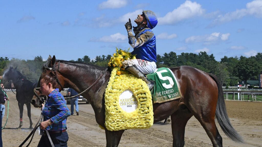 ON ANY GIVEN SATURDAY THE FASTEST FOREGO EVER Horse Racing Today