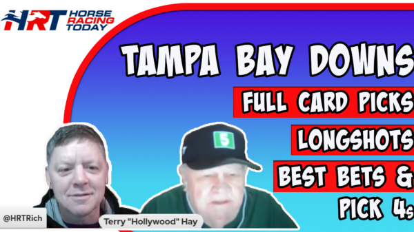 Tampa Bay Downs Tips
