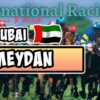 Meydan Horse Racing Picks