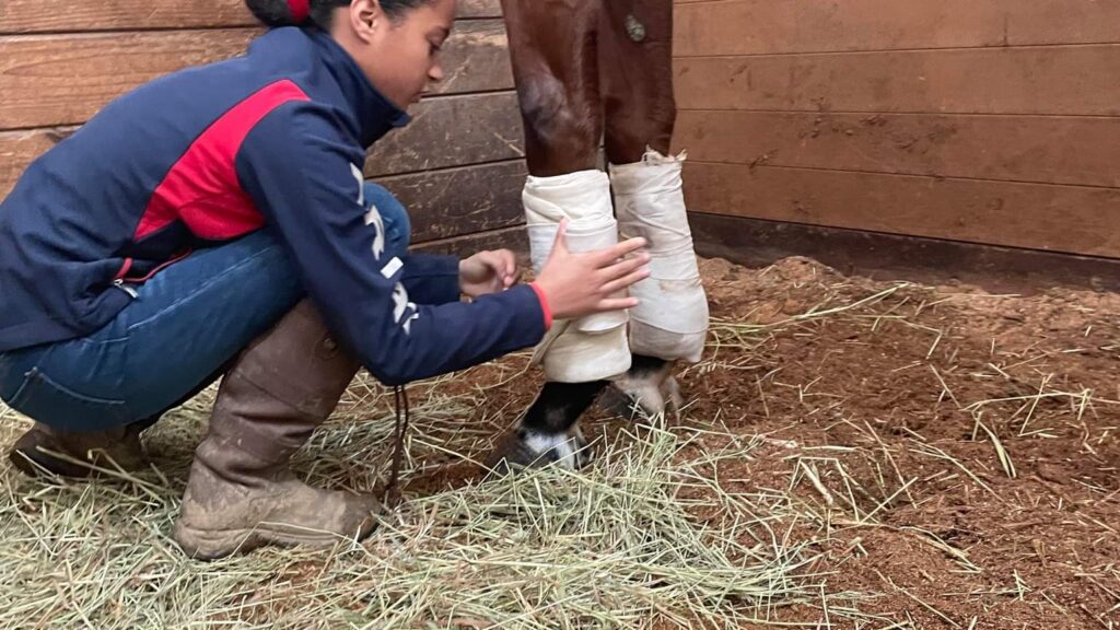 Who do you Know? Raina Jenkins, Hot walker. Horse Racing Today