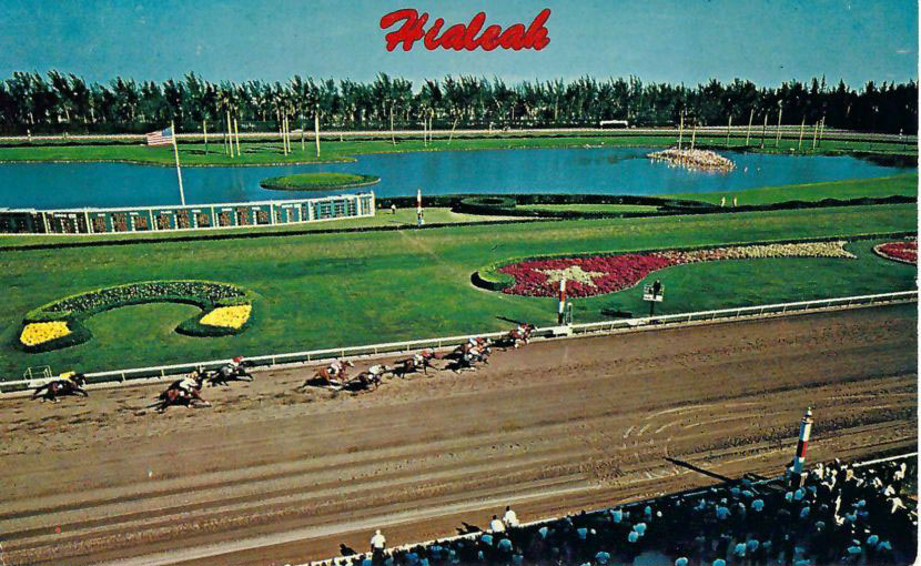 Hialeah Racecourse Postcard