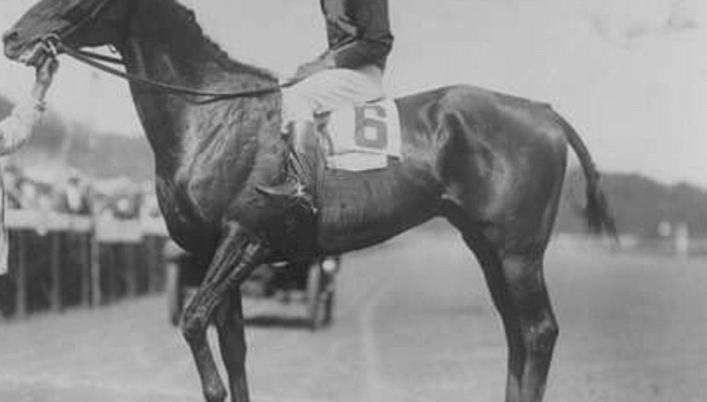 Aristides Race Horse