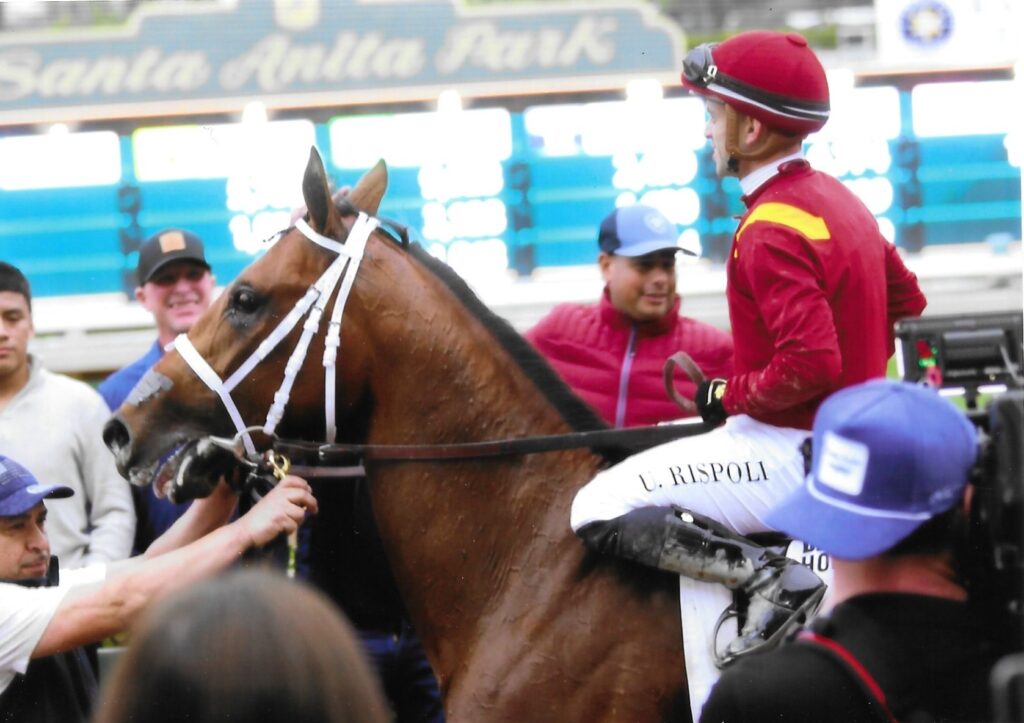 Jockey Umberto Rispoli on Journalism