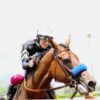 Seismic Beauty Race Horse