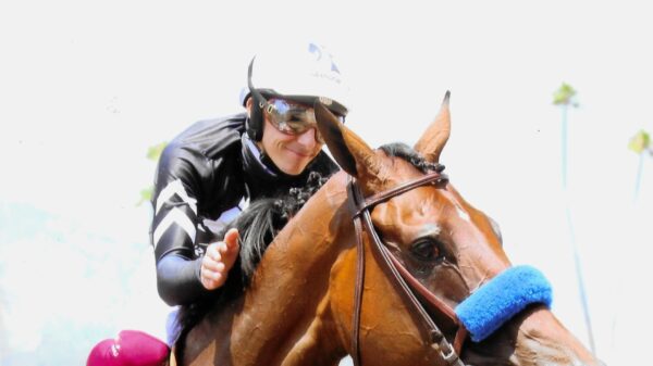 Seismic Beauty Race Horse