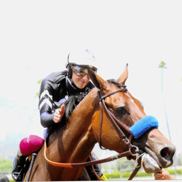 Seismic Beauty Race Horse