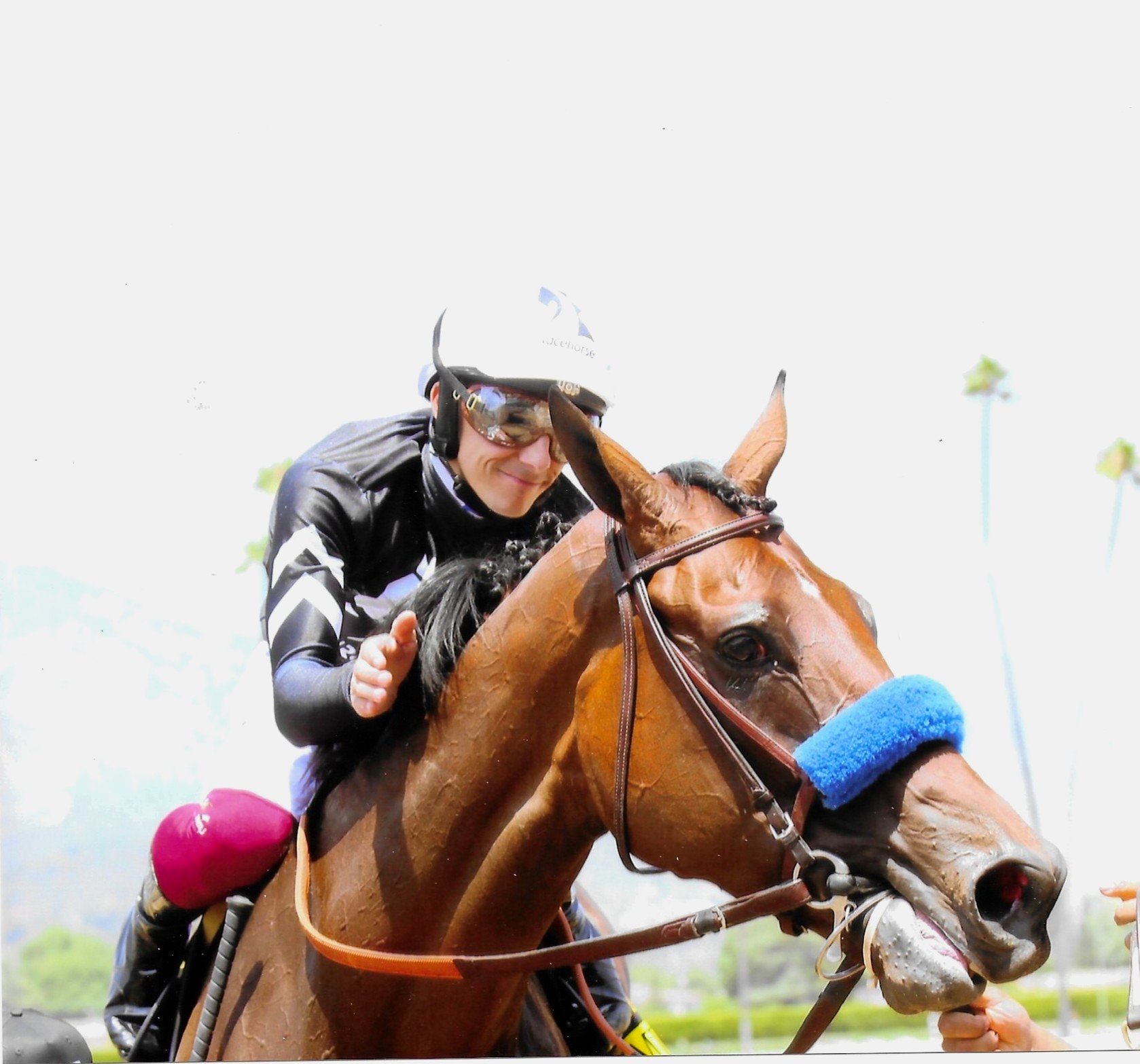 Seismic Beauty Race Horse