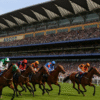 Ascot Racecourse Horse Racing Picks