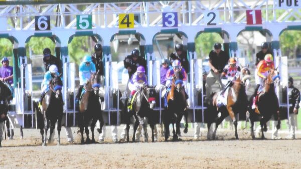 American Pharoah Stakes-gate 10-4-25