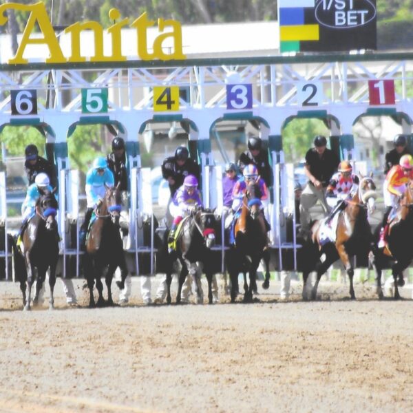 American Pharoah Stakes-gate 10-4-25