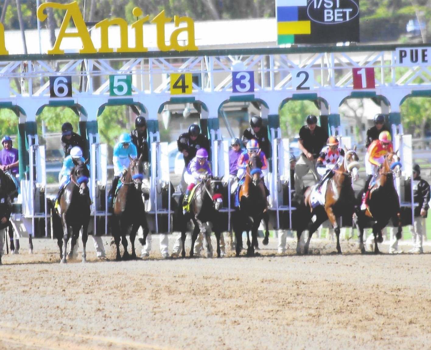 American Pharoah Stakes-gate 10-4-25