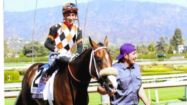 Intrepido- American Pharoah Stakes Winner