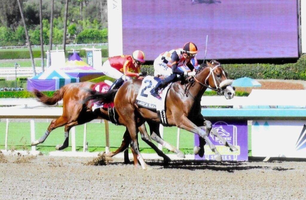 Intrepido- American Pharoah stakes 
