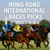 Sha Tin International Picks 2025