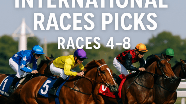 Sha Tin International Picks 2025