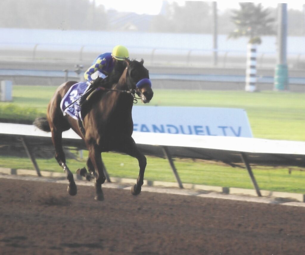 Litmus Test - Los Al Futurity Winner 2025