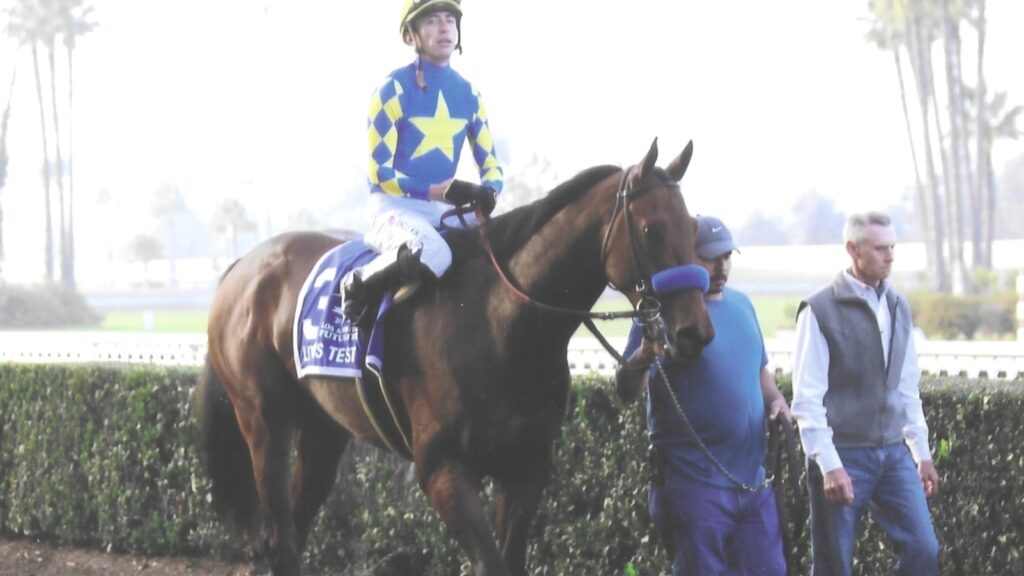 Litmus Test Racehorse Trained by Bob Baffert