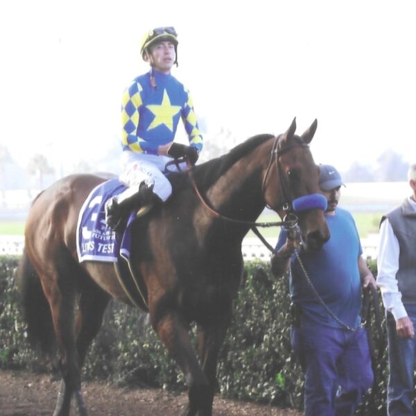 Litmus Test Racehorse Trained by Bob Baffert