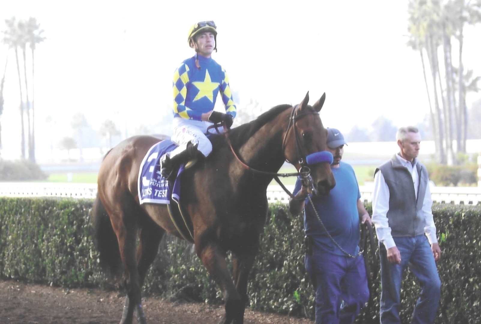 Litmus Test Racehorse Trained by Bob Baffert