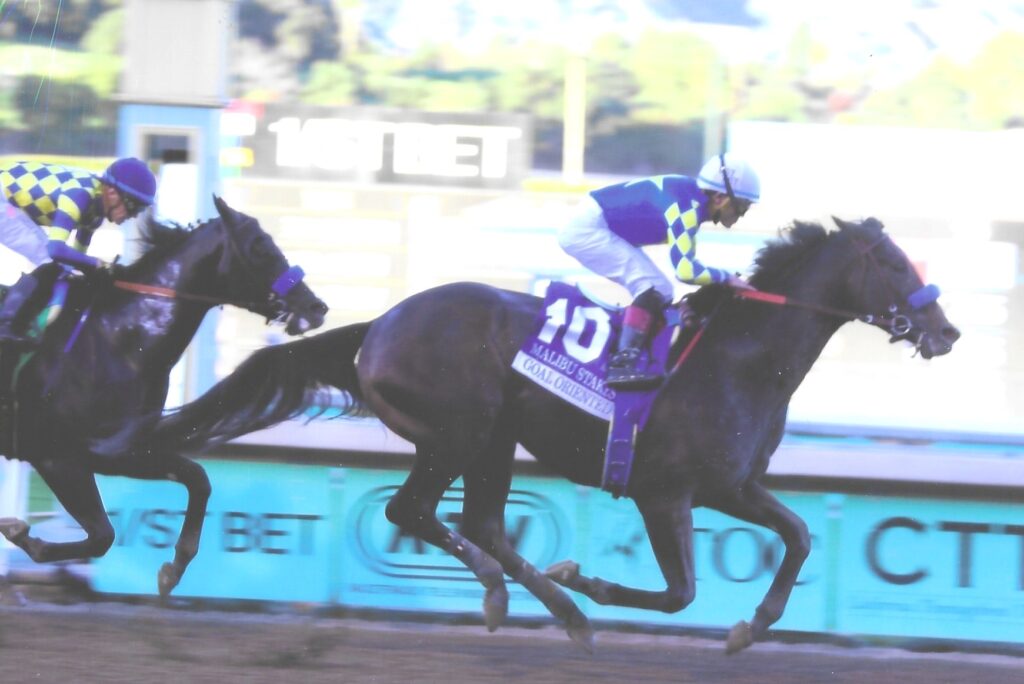 Malibu Stakes Winner: Goal Oriented
