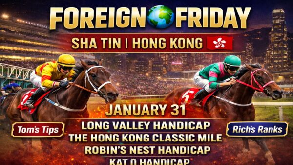 Sha Tin Horse Racing Picks