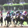 2026 Santa Anita Derby