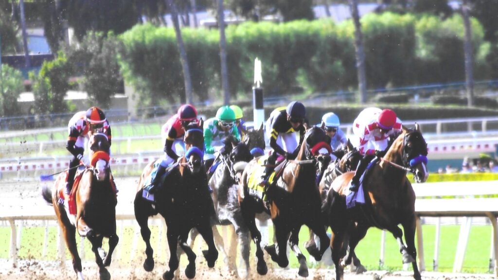 2026 Santa Anita Derby