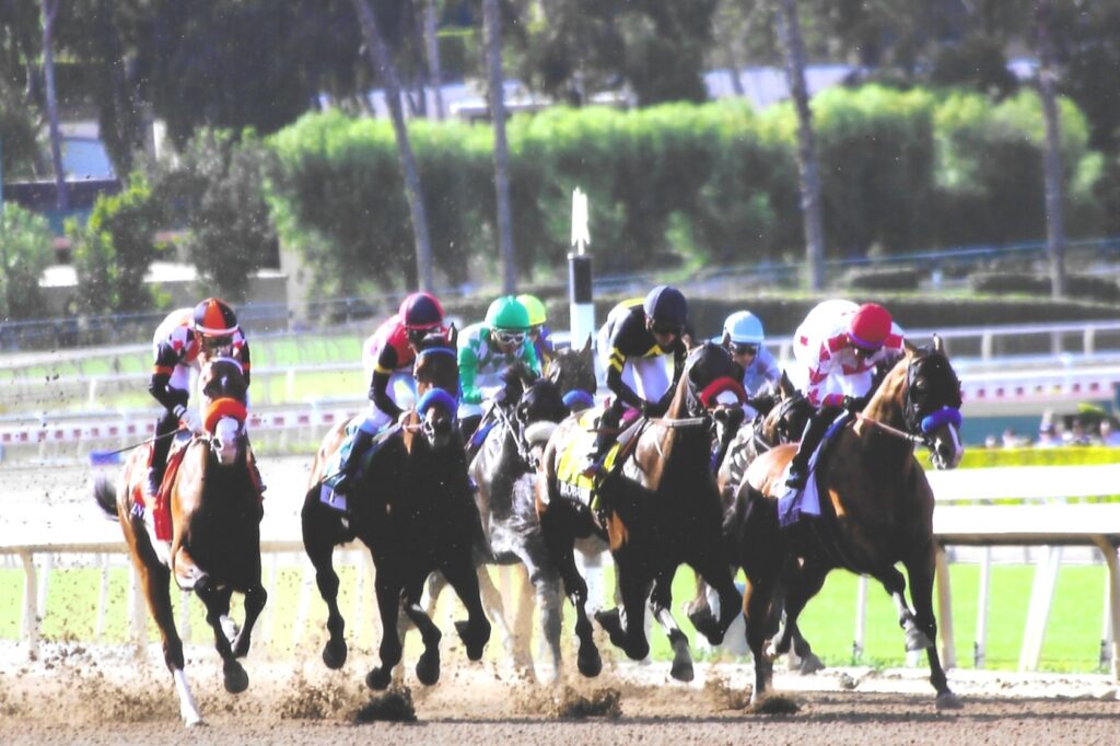 2026 Santa Anita Derby