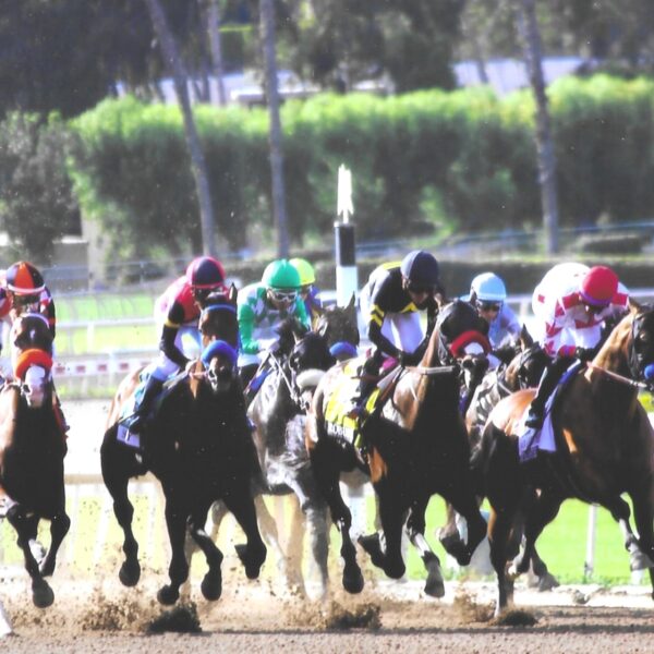 2026 Santa Anita Derby