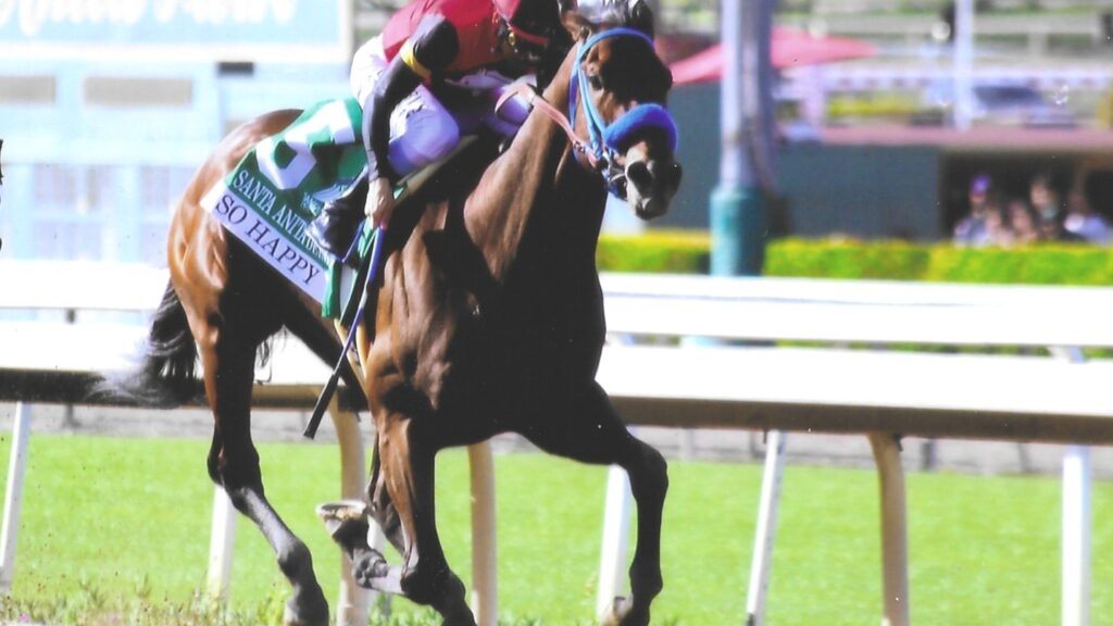 SO HAPPY - 2026 Santa Anita Derby and Kentucky Derby Qualifier