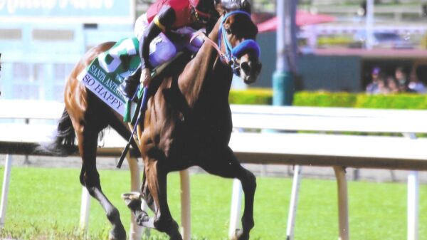SO HAPPY - 2026 Santa Anita Derby and Kentucky Derby Qualifier