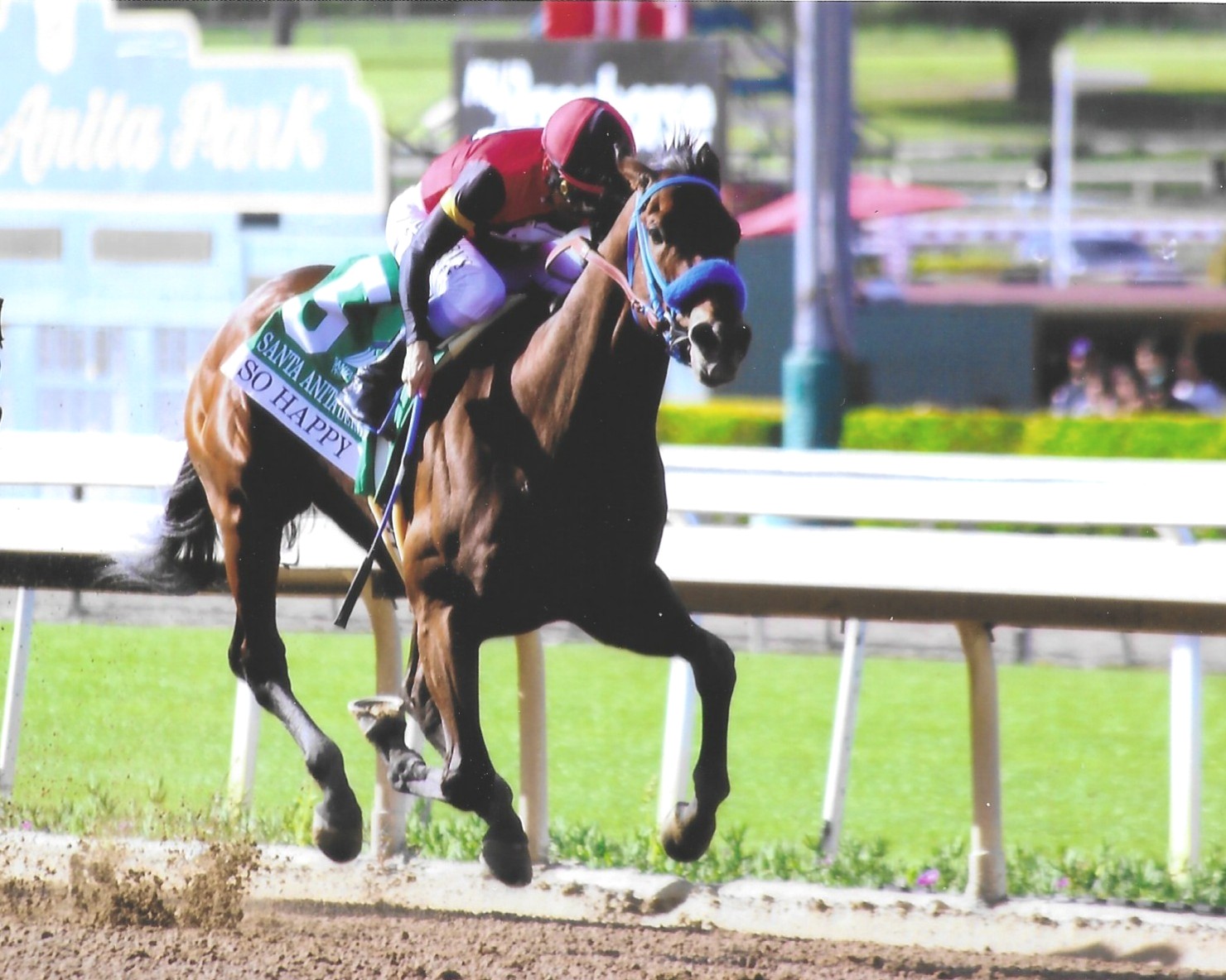 SO HAPPY - 2026 Santa Anita Derby and Kentucky Derby Qualifier