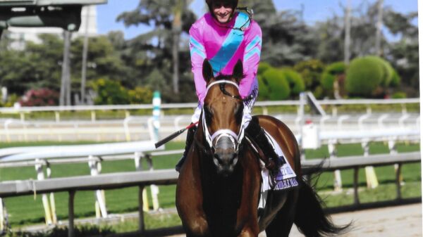 Flavien Prat on Formidable Man Racehorse