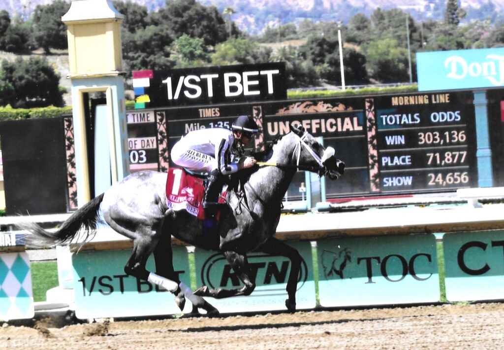 Forged Steel Racehorse