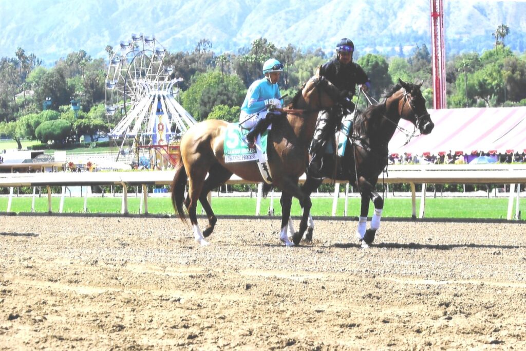 Gamely Stakes winner Thought Process
